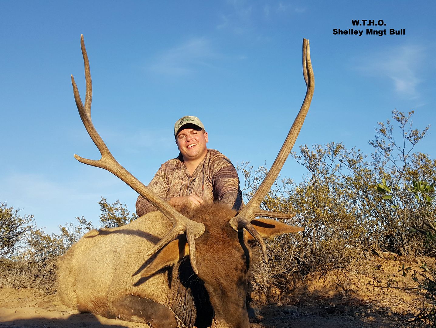 My First Elk West Texas Photos Texas Hunting Forum